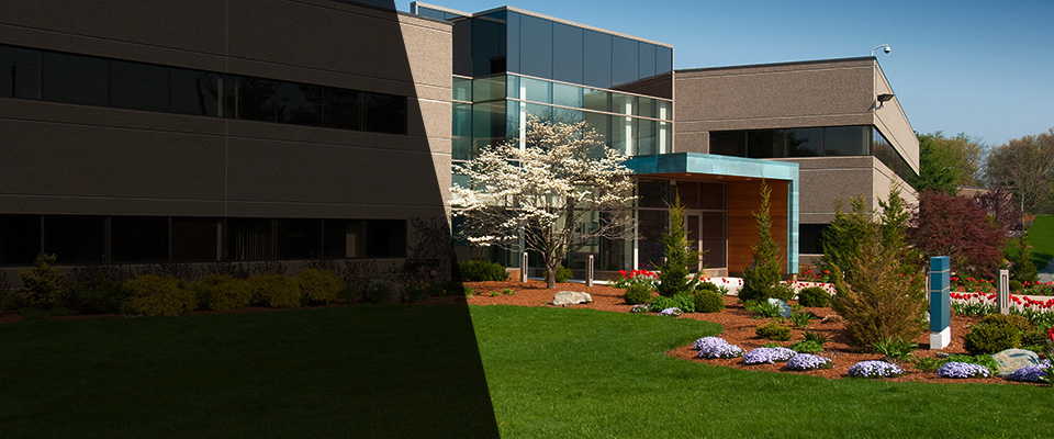 Adamstown Landscapers