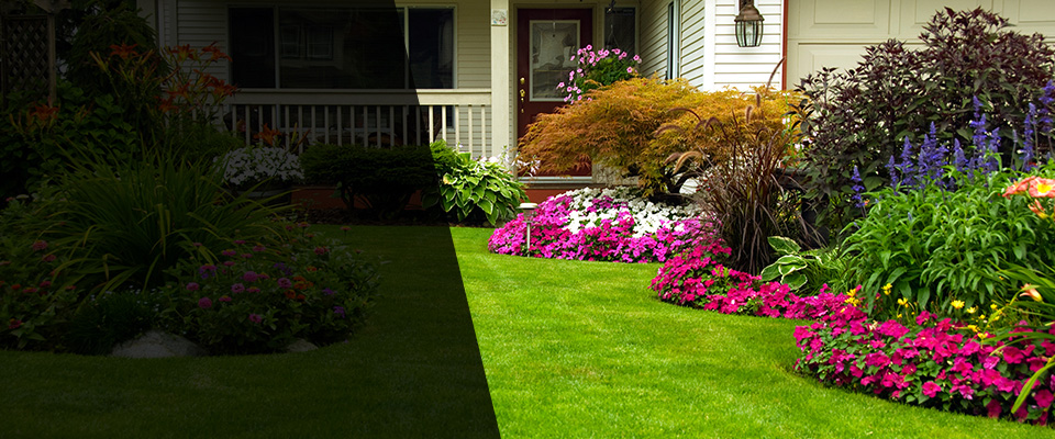Adamstown Landscapers