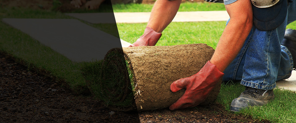 Adamstown Landscapers